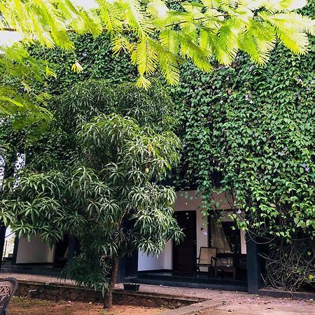 مبيت وإفطار دامبولا روك آرتش المظهر الخارجي الصورة